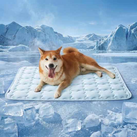 DozyPaw Cooling Mat
