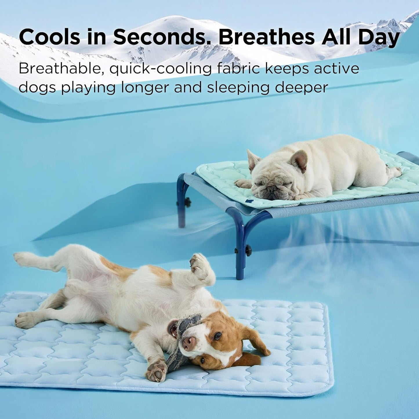 DozyPaw Cooling Mat