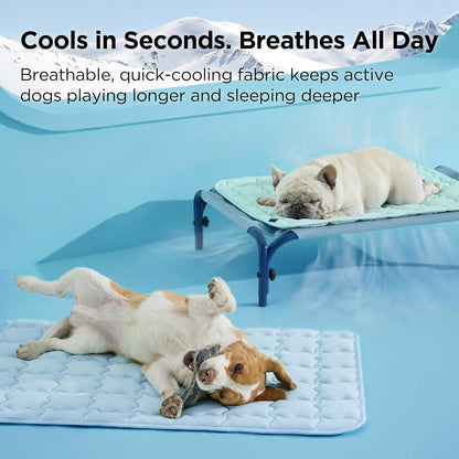 DozyPaw Cooling Mat
