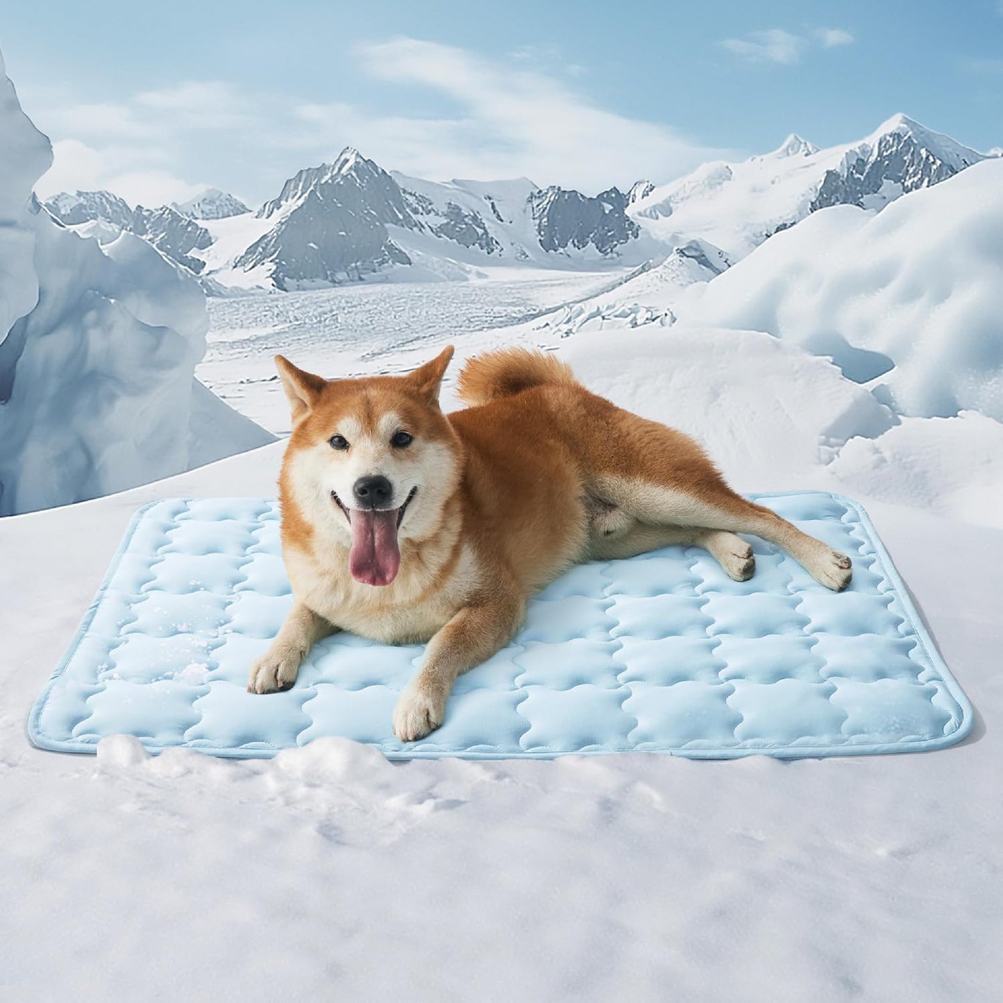DozyPaw Cooling Mat — Double Pack