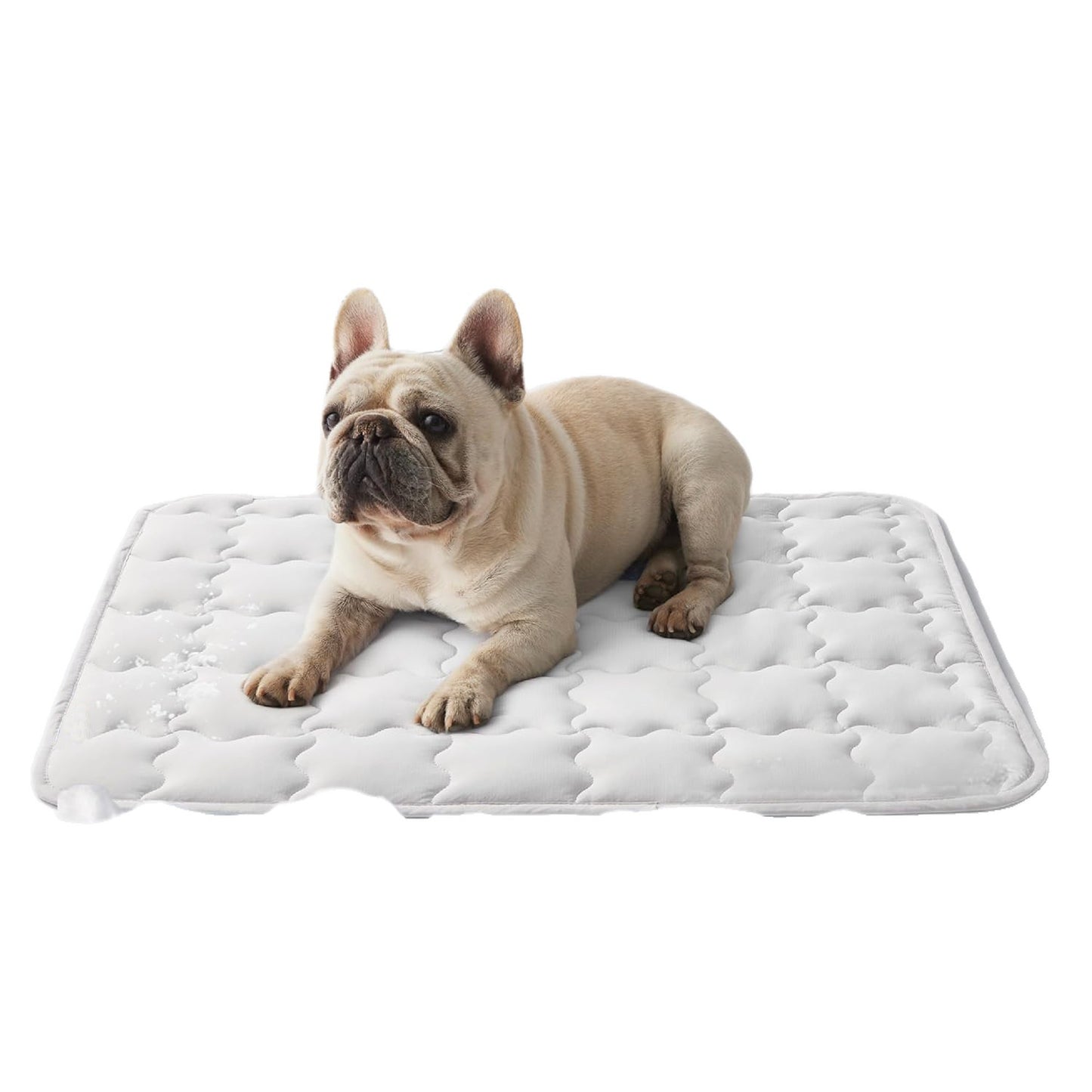 DozyPaw Cooling Mat — Double Pack